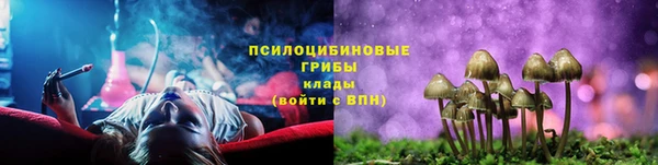 МДПВ Ладушкин