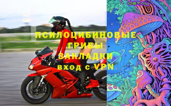 МДПВ Ладушкин