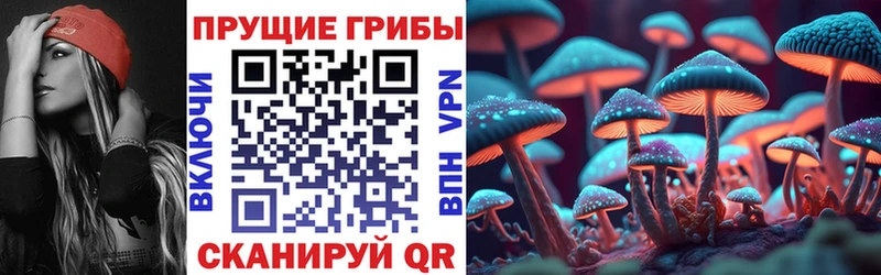 Псилоцибиновые грибы прущие грибы  Таруса 